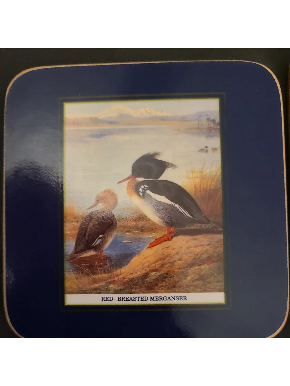 Vintage Cloverleaf Coasters Thorburn's Diving Ducks  Set of 6 Made in the UK